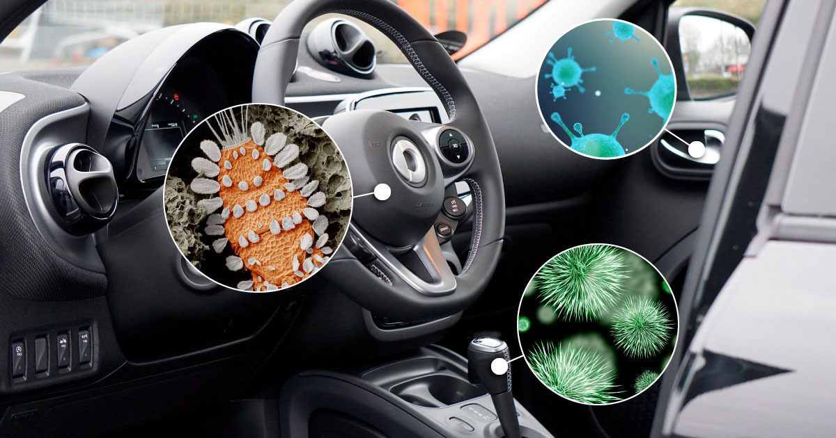 Pulizia e Igiene Interni Limite e Capraia, Empoli e Vinci - Nuova Stilauto